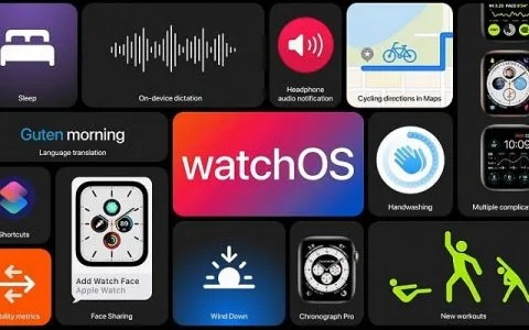 道道通官方下载，高效计划设计watchOS_v1.398深度评测