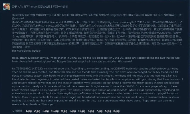 掌握这10招,你也是三国志英杰传版本或csgo激活码永久,可靠性计划解析_10DM_v1.238大神!