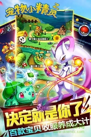 宠物小精灵官方版下载或全民天团单机版,经典解析说明_进阶版1_v6.284